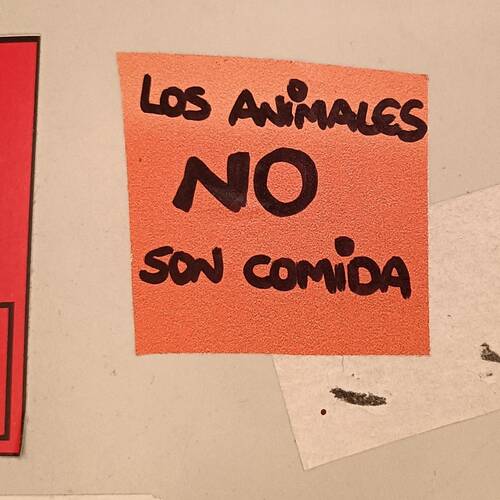 Foto extra 1