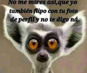 Ojitos