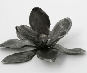 magnolia79
