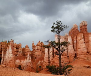 Marí­a