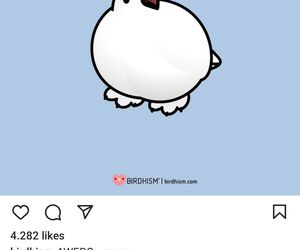Antonio