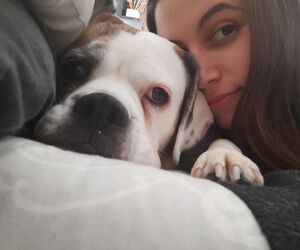 Nerea