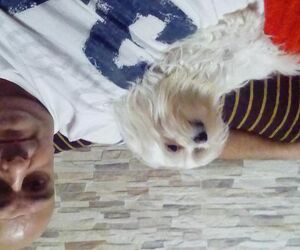 Jose Antonio N