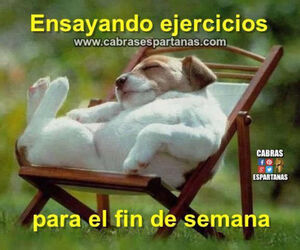Jose Manuel
