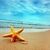 Stardelle Mar