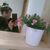 Nuria