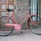 Ruta bicicleta
