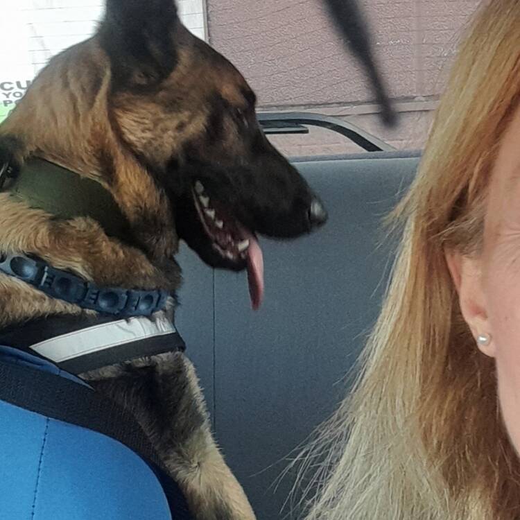 Foto de perfil de La Vida es Maravillosa