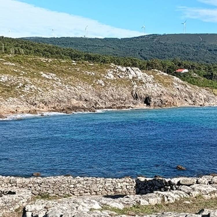 Foto de perfil de Silvana