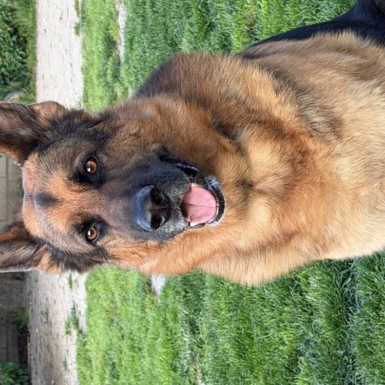 Foto de perfil de Sergio