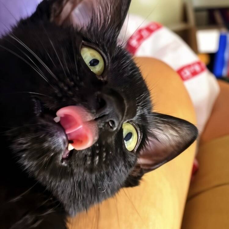 Foto de perfil de Alicia
